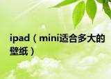 ipad（mini適合多大的壁紙）