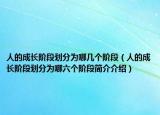人的成長階段劃分為哪幾個階段（人的成長階段劃分為哪六個階段簡介介紹）