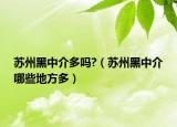 蘇州黑中介多嗎?（蘇州黑中介哪些地方多）