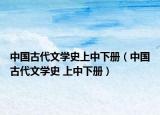 中國(guó)古代文學(xué)史上中下冊(cè)（中國(guó)古代文學(xué)史 上中下冊(cè)）
