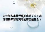 宋仲基和宋慧喬真的離婚了嗎（宋仲基和宋慧喬離婚的原因是什么）
