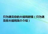 只為遇見你的大結(jié)局劇情（只為遇見你大結(jié)局簡介介紹）