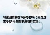 烏蘭圖雅我在草原等你來(lái)（我在這里等你 烏蘭圖雅演唱的歌曲）