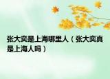 張大奕是上海哪里人（張大奕真是上海人嗎）