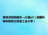 寰峰浗縐戝竷浼﹁尐澶у（德國科特布斯勃蘭登堡工業(yè)大學(xué)）
