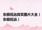 東極撫遠真實圖片大全（東極撫遠）