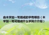 由木字加一筆組成的字有哪些（木字加一筆可組成什么字簡介介紹）