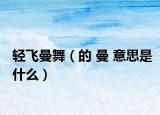 輕飛曼舞（的 曼 意思是什么）
