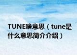 TUNE啥意思（tune是什么意思簡(jiǎn)介介紹）