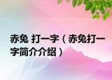 赤兔 打一字（赤兔打一字簡(jiǎn)介介紹）