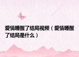 愛情睡醒了結(jié)局視頻（愛情睡醒了結(jié)局是什么）