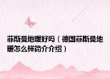 菲斯曼地暖好嗎（德國菲斯曼地暖怎么樣簡介介紹）