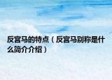 反宮馬的特點(diǎn)（反宮馬別稱是什么簡(jiǎn)介介紹）
