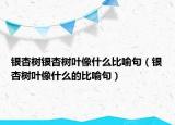 銀杏樹銀杏樹葉像什么比喻句（銀杏樹葉像什么的比喻句）
