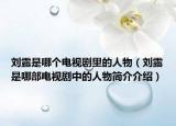 劉露是哪個(gè)電視劇里的人物（劉露是哪部電視劇中的人物簡介介紹）
