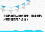 沼澤地會把人吸到哪里（沼澤會把人吸到哪去簡介介紹）