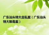 廣東汕頭特大走私案（廣東汕頭特大販毒案）