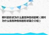 樹葉的形狀為什么是各種各樣的呢（樹葉為什么有各種各樣的形狀簡介介紹）