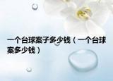 一個(gè)臺球案子多少錢（一個(gè)臺球案多少錢）