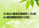 大s和小s是親生姐妹嗎（大s和小s是雙胞胎嗎簡(jiǎn)介介紹）