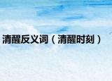 清醒反義詞（清醒時(shí)刻）