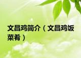 文昌雞簡介（文昌雞飯 菜肴）