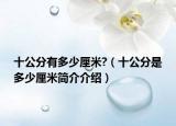 十公分有多少厘米?（十公分是多少厘米簡(jiǎn)介介紹）