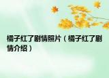 橘子紅了劇情照片（橘子紅了劇情介紹）