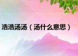 浩浩湯湯（湯什么意思）