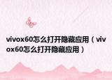 vivox60怎么打開隱藏應(yīng)用（vivox60怎么打開隱藏應(yīng)用）