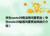 華為mate20有沒有鴻蒙系統(tǒng)（華為mate20能用鴻蒙系統(tǒng)嗎簡介介紹）