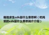 絕地求生cdk是什么意思?。ǔ噪u里的cdk是什么意思簡介介紹）