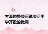 索溪峪野凌河鎮(zhèn)凌河小學(xué)開(kāi)設(shè)的微課