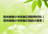 陽光姐姐小書房我們班的狗仔隊（陽光姐姐小書房我們班的小童星）
