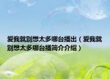 愛(ài)我就別想太多哪臺(tái)播出（愛(ài)我就別想太多哪臺(tái)播簡(jiǎn)介介紹）