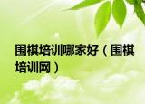 圍棋培訓哪家好（圍棋培訓網）