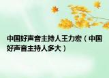 中國好聲音主持人王力宏（中國好聲音主持人多大）