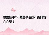 魔獸新手t（魔獸爭霸小T資料簡介介紹）