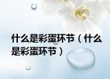 什么是彩蛋環(huán)節(jié)（什么是彩蛋環(huán)節(jié)）