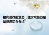 猛虎薔薇的意思（猛虎嗅薔薇是啥意思簡(jiǎn)介介紹）