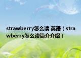 strawberry怎么讀 英語（strawberry怎么讀簡(jiǎn)介介紹）