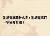 池塘亮底是什么字（池塘亮底打一字簡介介紹）