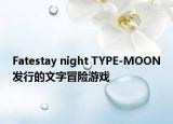 Fatestay night TYPE-MOON發(fā)行的文字冒險游戲