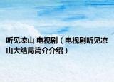 聽見涼山 電視?。娨晞÷犚姏錾酱蠼Y局簡介介紹）