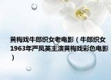 黃梅戲牛郎織女老電影（牛郎織女 1963年嚴(yán)鳳英主演黃梅戲彩色電影）
