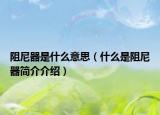 阻尼器是什么意思（什么是阻尼器簡介介紹）