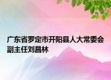 廣東省羅定市開陽縣人大常委會副主任劉昌林