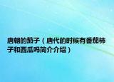 唐朝的茄子（唐代的時(shí)候有番茄柿子和西瓜嗎簡介介紹）