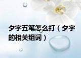 夕字五筆怎么打（夕字的相關(guān)組詞）