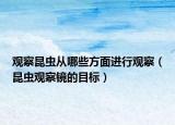 觀察昆蟲從哪些方面進行觀察（昆蟲觀察鏡的目標）